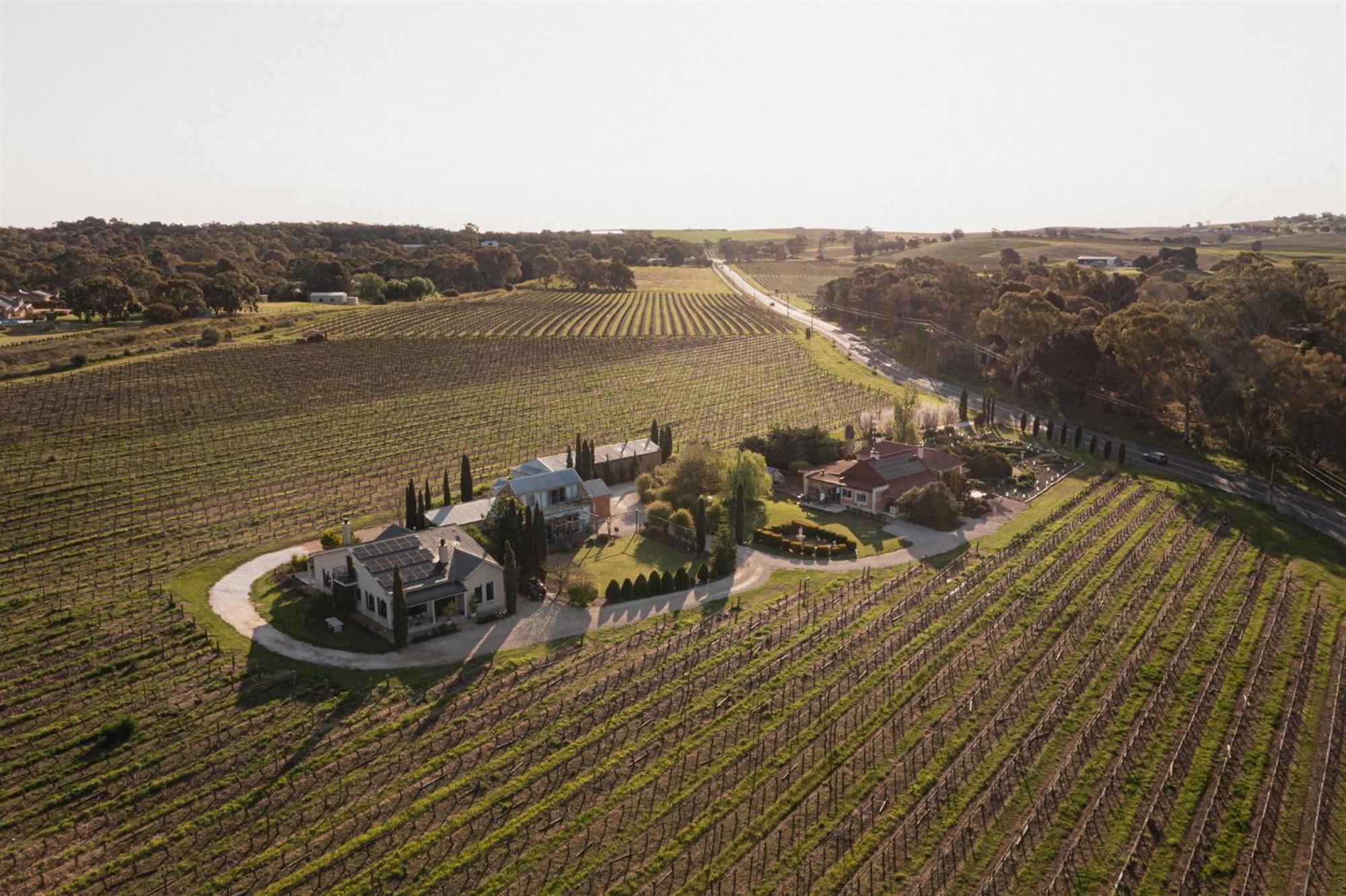 Barossa Shiraz Estate Villa Lyndoch Екстериор снимка