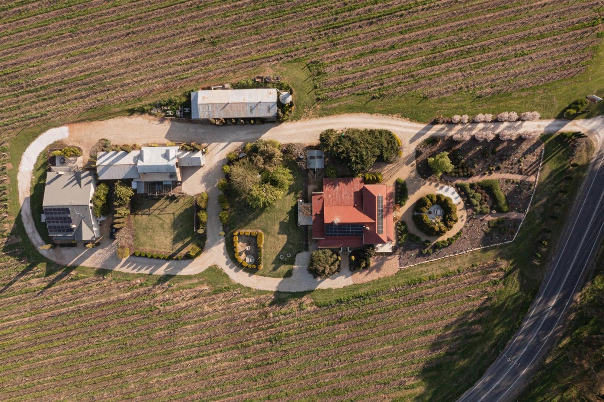 Barossa Shiraz Estate Villa Lyndoch Екстериор снимка