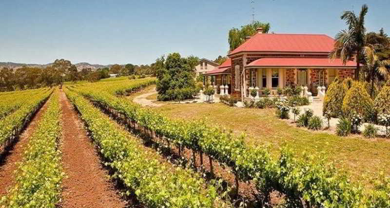 Barossa Shiraz Estate Villa Lyndoch Екстериор снимка