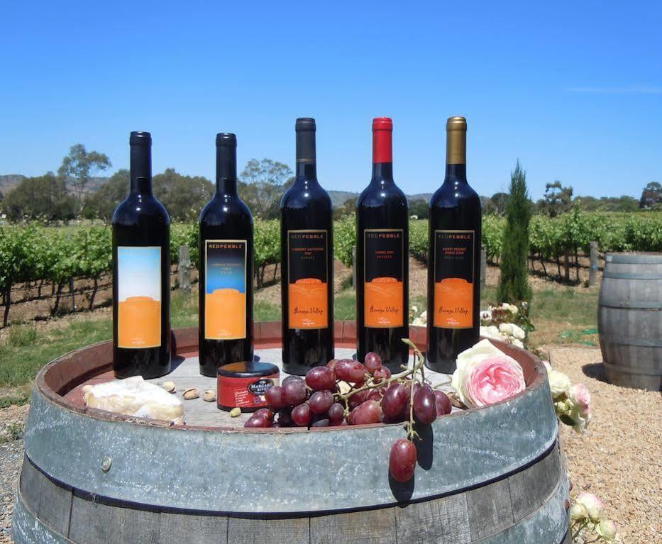 Barossa Shiraz Estate Villa Lyndoch Екстериор снимка