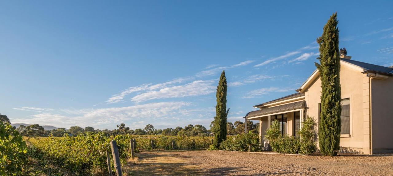 Barossa Shiraz Estate Villa Lyndoch Екстериор снимка